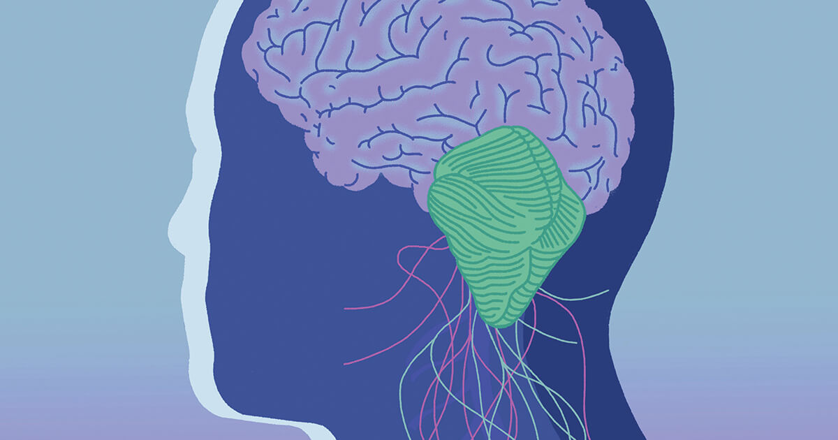 Illustration of a person with visible brain and nervous system