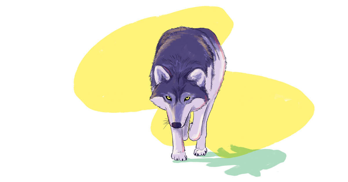 Keeping wolves at bay