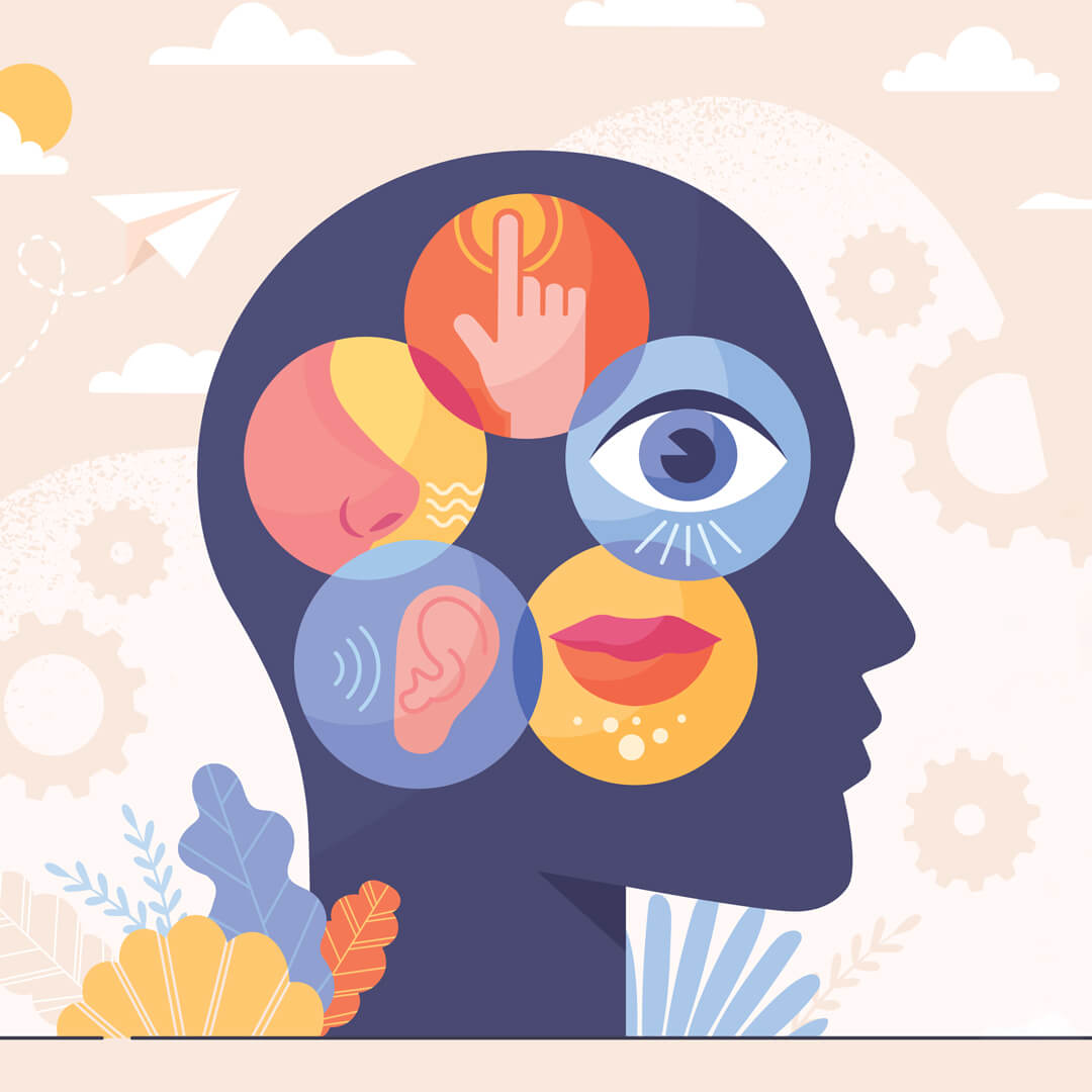 What is agnosia and how does it affect the brain’s perception?